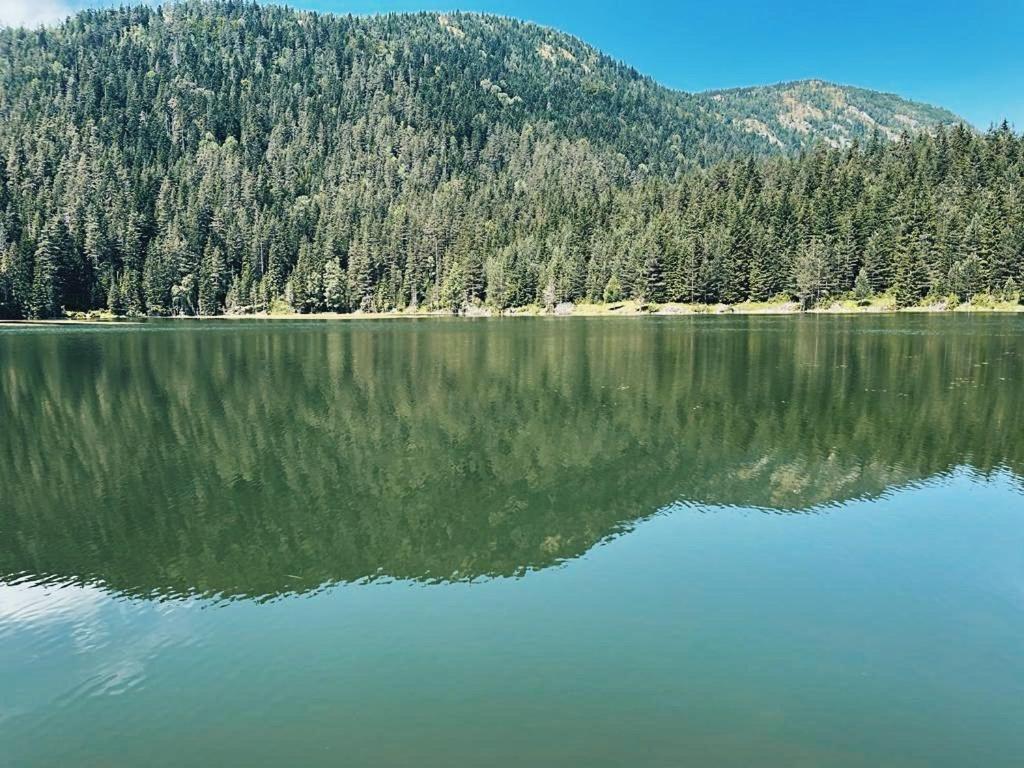 Zminica Lake House Zabljak  Exterior photo